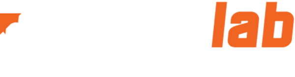 Motolab Design Co.